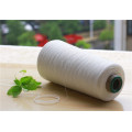 Linen/Polyeser 55/45 Ne 20s Yarn for Knitting